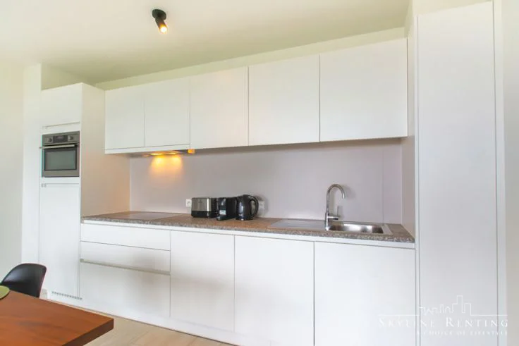 Appartement A Louer 1 chambre Evere - Rue de Genève 4 - 1140 - BE