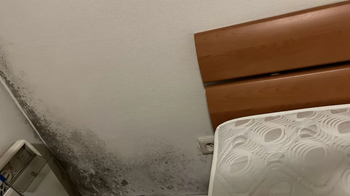 Apartment - Appartement Te Huur Blankenberge - 129 Zeedijk - 8370 - BE