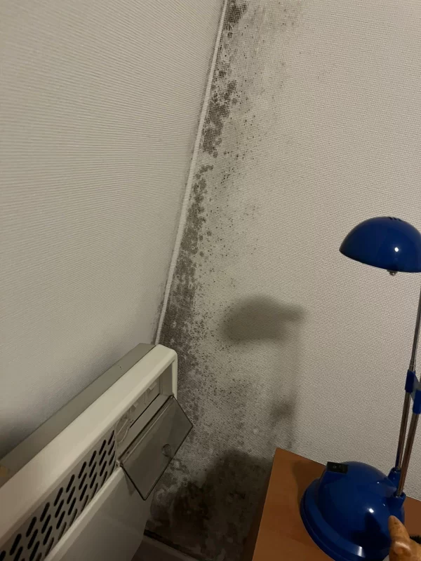 Appartement Te Huur Blankenberge - 129 Zeedijk - 8370 - BE